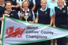 phoca_thumb_l_Welsh-ladies